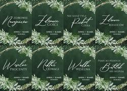 Naklejki na butelki Nikola - wzór 1