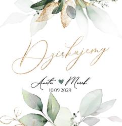 Pudełko na koperty – Eukaliptus - W3