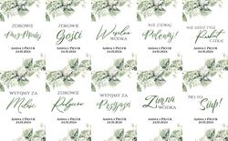 Zawieszki Gipsówka - wzór 2