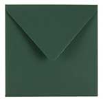 oliwkowa zieleń (+1zł)